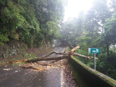 11-5月23日大雪山林道36.5k 發生倒木及落石  已清理完成